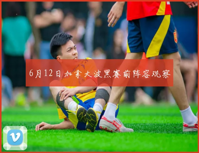 6月12日加拿大波黑赛前阵容观察
