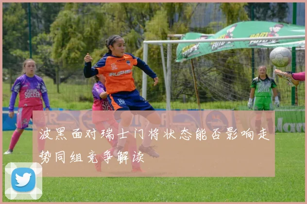 波黑面对瑞士门将状态能否影响走势同组竞争解读