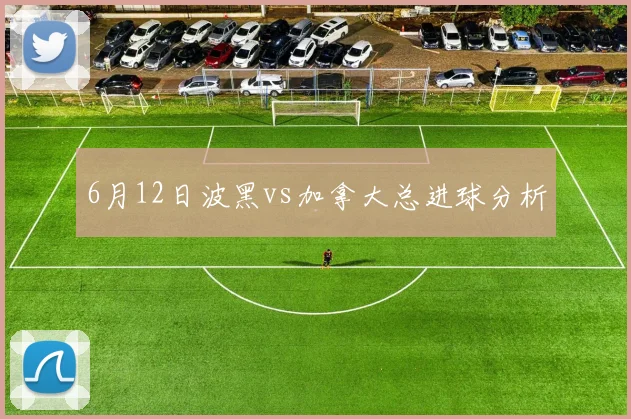 6月12日波黑vs加拿大总进球分析